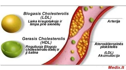 Lowering cholesterol naturally