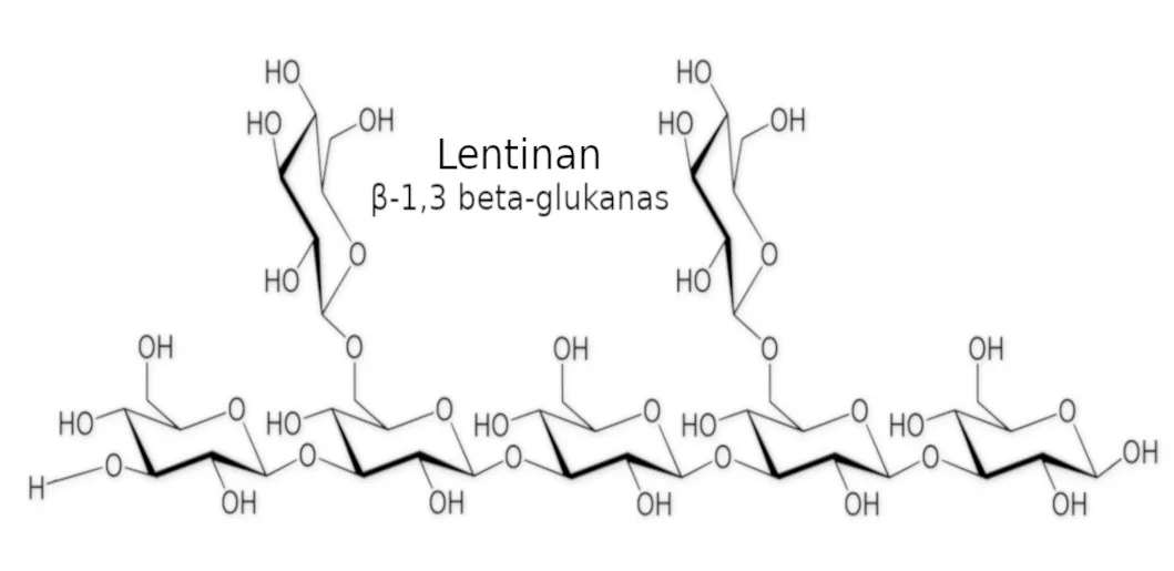 Lentinan shiitake mushroom extract